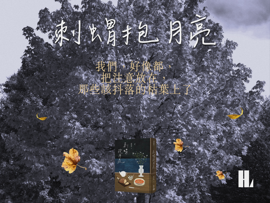 讀書解毒－《刺蝟抱月亮》